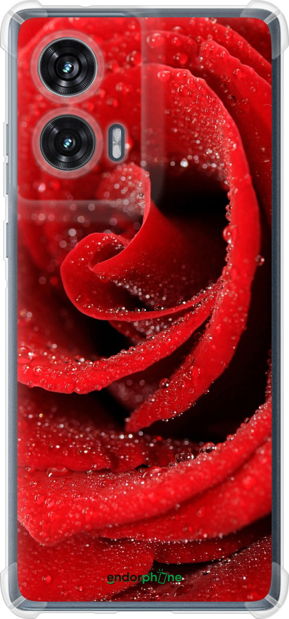 Силикон с усиленными углами чехол Красная роза для Motorola Edge 50 Fusion - 529sp-3748 изображение 