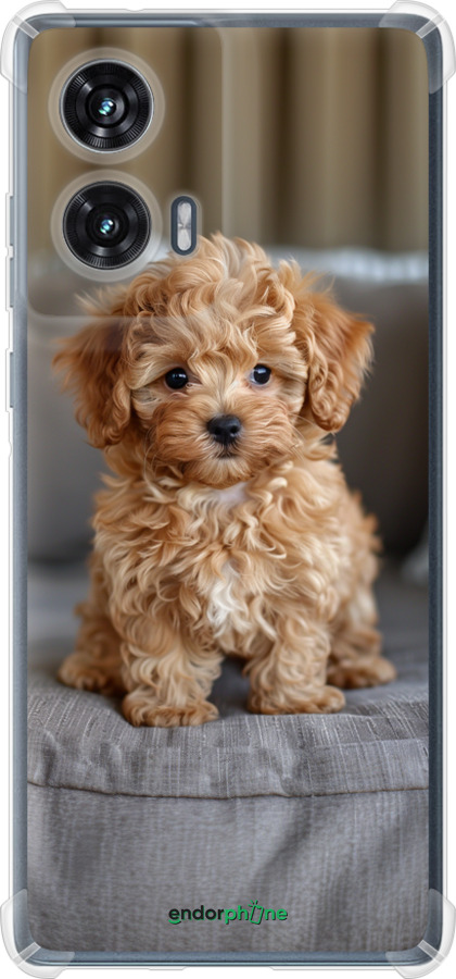 Силикон с усиленными углами чехол Mini-maltipoo для Motorola Edge 50 Fusion - 6158sp-3748 изображение 