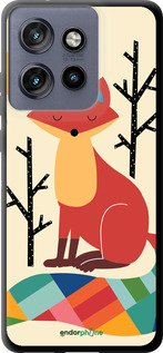TPU чехол Rainbow fox для Motorola Edge 50 Neo 5G - 4010b-3794 изображение 
