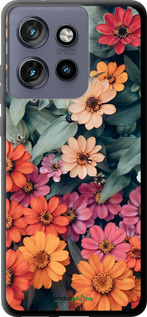 TPU чехол Beauty flowers для Motorola Edge 50 Neo 5G - 4050b-3794 изображение 