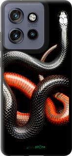 TPU чехол Червоно-чорна змія на чорному фоні для Motorola Edge 50 Neo 5G - 4063b-3794 изображение 