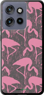 TPU чехол Vintage-Flamingos для Motorola Edge 50 Neo 5G - 4171b-3794 изображение 