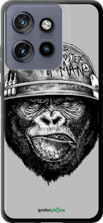 TPU чехол military monkey для Motorola Edge 50 Neo 5G - 4177b-3794 изображение 