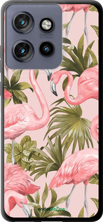 TPU чехол фламинго 2 для Motorola Edge 50 Neo 5G - 4360b-3794 изображение 