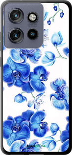 TPU чехол Блакитні орхідеї для Motorola Edge 50 Neo 5G - 4406b-3794 изображение 