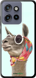 TPU чехол Модная лама для Motorola Edge 50 Neo 5G - 4479b-3794 изображение 