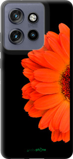 TPU чехол Гербера 1 для Motorola Edge 50 Neo 5G - 4534b-3794 изображение 