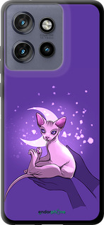 TPU чехол Кот2 для Motorola Edge 50 Neo 5G - 4676b-3794 изображение 