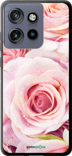 TPU чехол Розы для Motorola Edge 50 Neo 5G - 525b-3794 изображение 