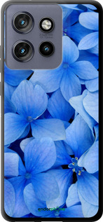 TPU чехол Сині квіти для Motorola Edge 50 Neo 5G - 526b-3794 изображение 