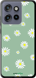 TPU чехол Ромашки v4 для Motorola Edge 50 Neo 5G - 5603b-3794 изображение 
