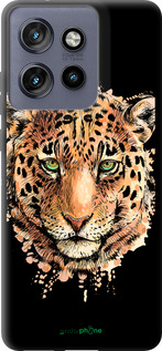 TPU чехол Леопард v2 для Motorola Edge 50 Neo 5G - 5606b-3794 изображение 