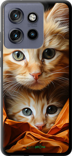 TPU чехол Котики 2 для Motorola Edge 50 Neo 5G - 5664b-3794 изображение 