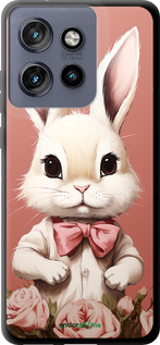 TPU чехол Зайчик для Motorola Edge 50 Neo 5G - 5669b-3794 изображение 