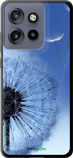 TPU чехол Одуванчик для Motorola Edge 50 Neo 5G - 6005b-3794 изображение 