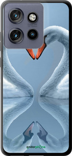 TPU чехол Лебеди для Motorola Edge 50 Neo 5G - 6007b-3794 изображение 