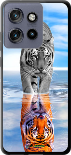TPU чехол Тигр для Motorola Edge 50 Neo 5G - 6016b-3794 изображение 