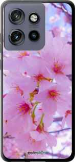 TPU чехол Сакура для Motorola Edge 50 Neo 5G - 6029b-3794 изображение 