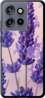 TPU чехол Лаванда для Motorola Edge 50 Neo 5G - 6037b-3794 изображение 