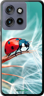 TPU чехол Божья коровка для Motorola Edge 50 Neo 5G - 6049b-3794 изображение 