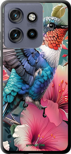 TPU чехол Казкова колібрі для Motorola Edge 50 Neo 5G - 6051b-3794 изображение 