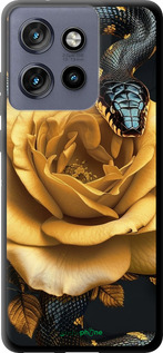 TPU чехол Black snake and golden rose для Motorola Edge 50 Neo 5G - 6068b-3794 изображение 
