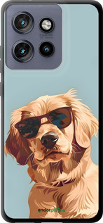 TPU чехол Пес в очках для Motorola Edge 50 Neo 5G - 6381b-3794 изображение 