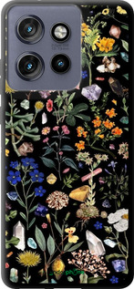 TPU чехол С цветами для Motorola Edge 50 Neo 5G - 6422b-3794 изображение 