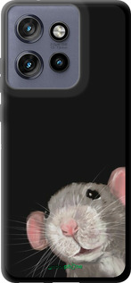 TPU чехол The Peeking Rat для Motorola Edge 50 Neo 5G - 6442b-3794 изображение 