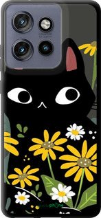 TPU чехол Черный кот с цветами для Motorola Edge 50 Neo 5G - 6448b-3794 изображение 