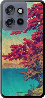 TPU чехол С изображением природы для Motorola Edge 50 Neo 5G - 6469b-3794 изображение 