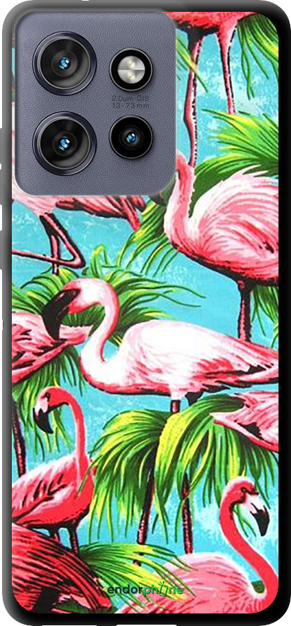 TPU чехол Tropical background для Motorola Edge 50 Neo 5G - 4016b-3794 изображение 