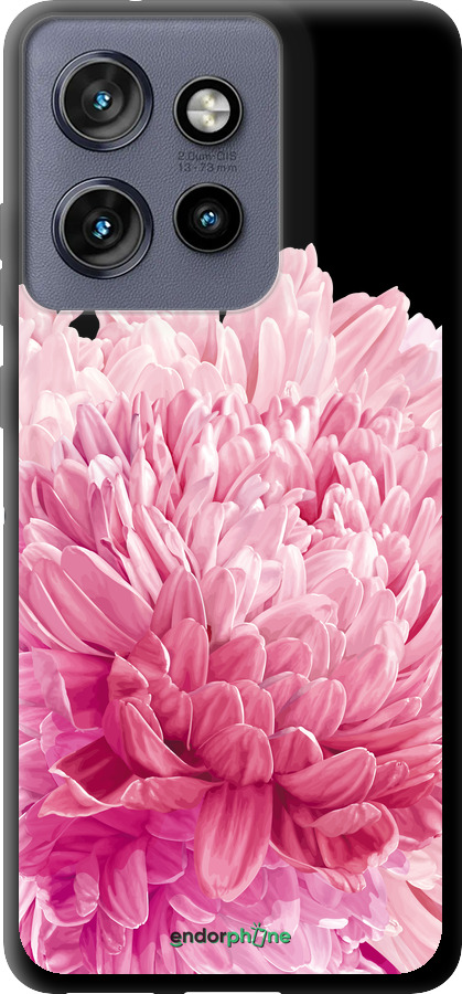 TPU чехол Хризантема для Motorola Edge 50 Neo 5G - 4666b-3794 изображение 