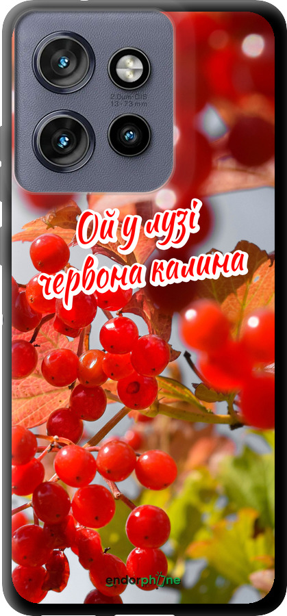 TPU чехол Калина для Motorola Edge 50 Neo 5G - 5454b-3794 изображение 