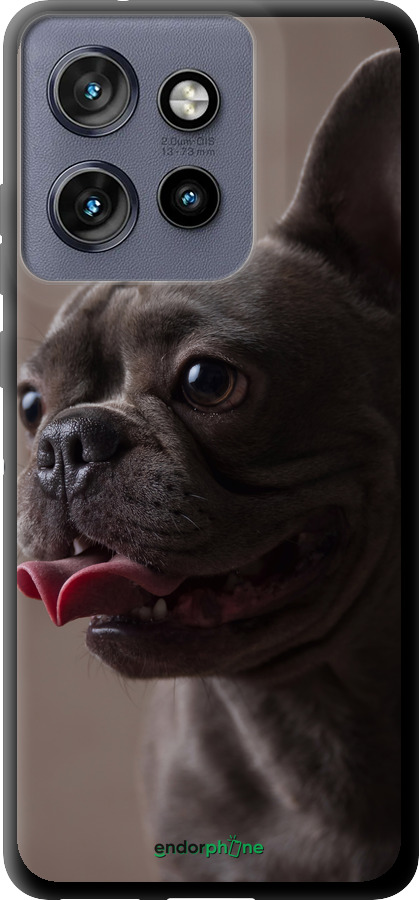 TPU чехол Милий бульдог для Motorola Edge 50 Neo 5G - 5546b-3794 изображение 