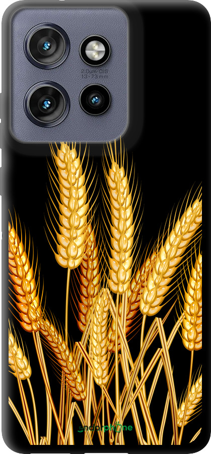 TPU чехол Колоски пшениці для Motorola Edge 50 Neo 5G - 5866b-3794 изображение 