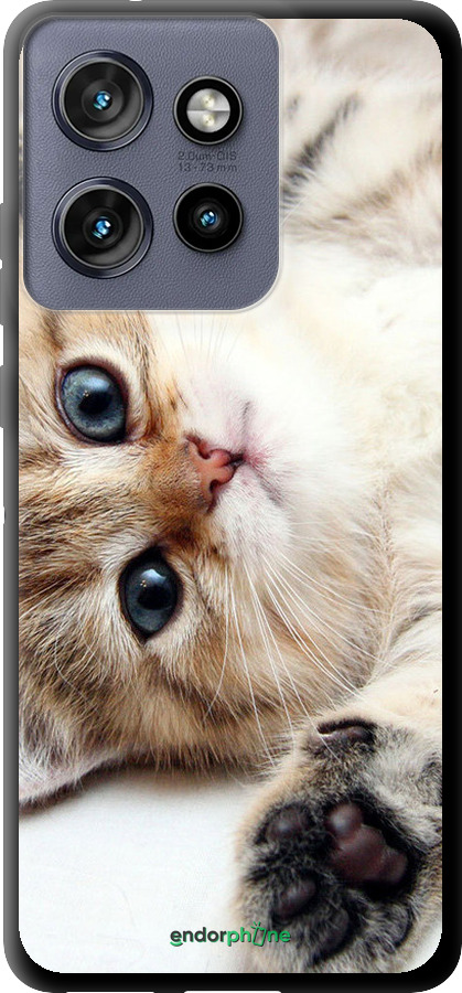 TPU чехол Котик для Motorola Edge 50 Neo 5G - 6024b-3794 изображение 