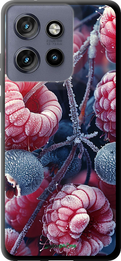 TPU чехол Морозные ягоды для Motorola Edge 50 Neo 5G - 6033b-3794 изображение 