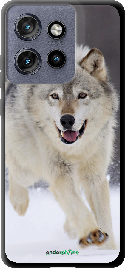 TPU чехол Вовк, що біжить для Motorola Edge 50 Neo 5G - 826b-3794 изображение 