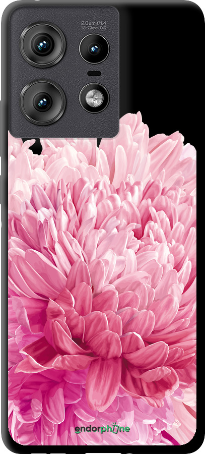 TPU чехол Хризантема для Motorola Edge 50 Pro 5G - 4666b-3710 изображение 