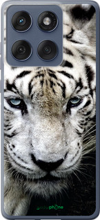 Силіконовий чехол Сумний білий тигр для Motorola Edge 60 Fusion 5G - 106u-4021 изображение 