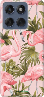 Силиконовый чехол фламинго 2 для Motorola Edge 60 Fusion 5G - 4360u-4021 изображение 