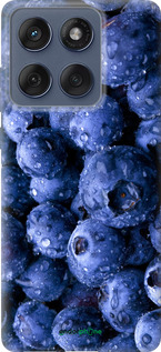 Силиконовый чехол Голубика для Motorola Edge 60 Fusion 5G - 4459u-4021 изображение 