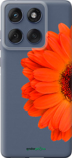 Силіконовий чехол Гербера 1 для Motorola Edge 60 Fusion 5G - 4534u-4021 изображение 