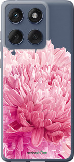 Силіконовий чехол Хризантема для Motorola Edge 60 Fusion 5G - 4666u-4021 изображение 