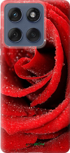 Силиконовый чехол Красная роза для Motorola Edge 60 Fusion 5G - 529u-4021 изображение 