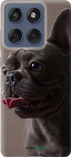 Силіконовий чехол Милий бульдог для Motorola Edge 60 Fusion 5G - 5546u-4021 изображение 