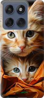 Силиконовый чехол Котики 2 для Motorola Edge 60 Fusion 5G - 5664u-4021 изображение 