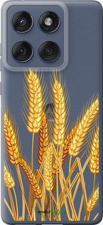 Силиконовый чехол Колоски пшеници для Motorola Edge 60 Fusion 5G - 5866u-4021 изображение 