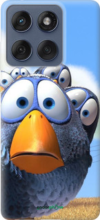 Силиконовый чехол Angry Birds для Motorola Edge 60 Fusion 5G - 6008u-4021 изображение 